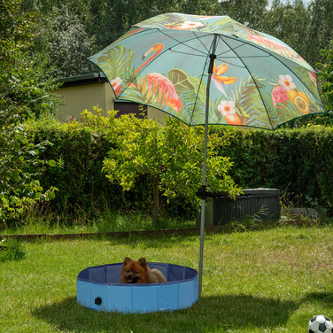 Relaxdays Blauer Hundepool