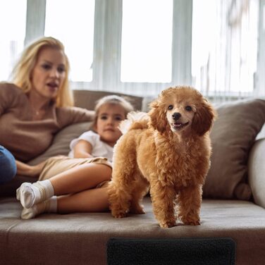 Relaxdays Hundetreppe 3 Stufen, kleine & große Hunde, Bett & Couch, Stoffbezug, Tiertreppe innen, HBT: 30x35x45 cm, weiß weiß 30x35x45 cm (1er Pack)