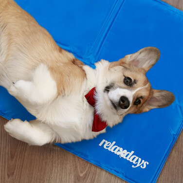 Relaxdays Blaue Kühlmatte für Hunde