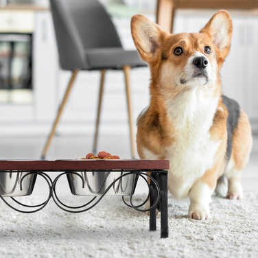 Relaxdays Futterstation für Hunde