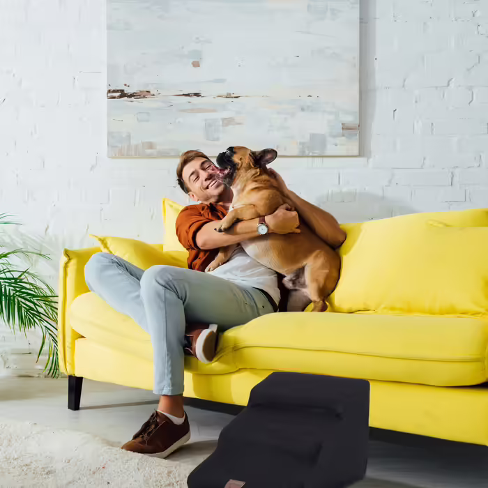 Relaxdays Hundetreppe mit 3 Stufen