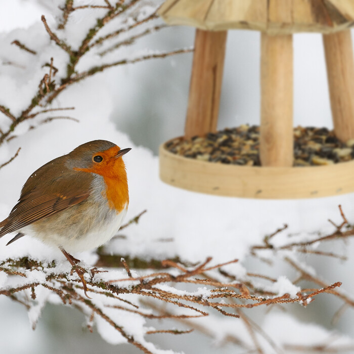 Relaxdays Vogelfutterhaus aus Holz