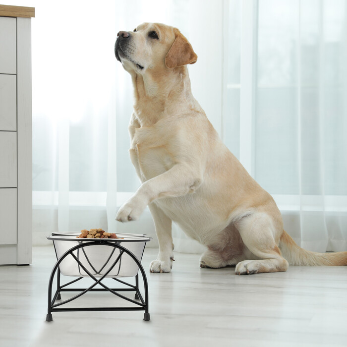 Relaxdays Futterstation für Hunde