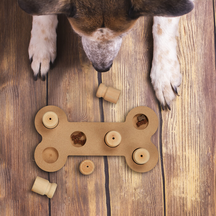 Relaxdays Intelligenzspielzeug für Hunde