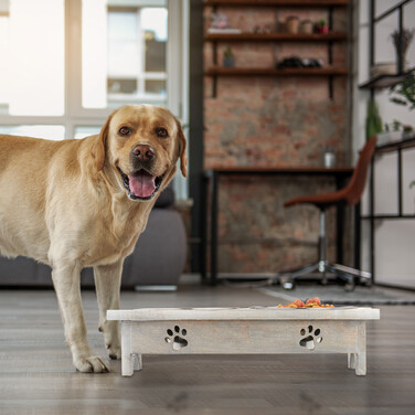 Relaxdays Futterstation für Hunde