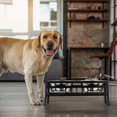 Relaxdays Futterstation für Hunde