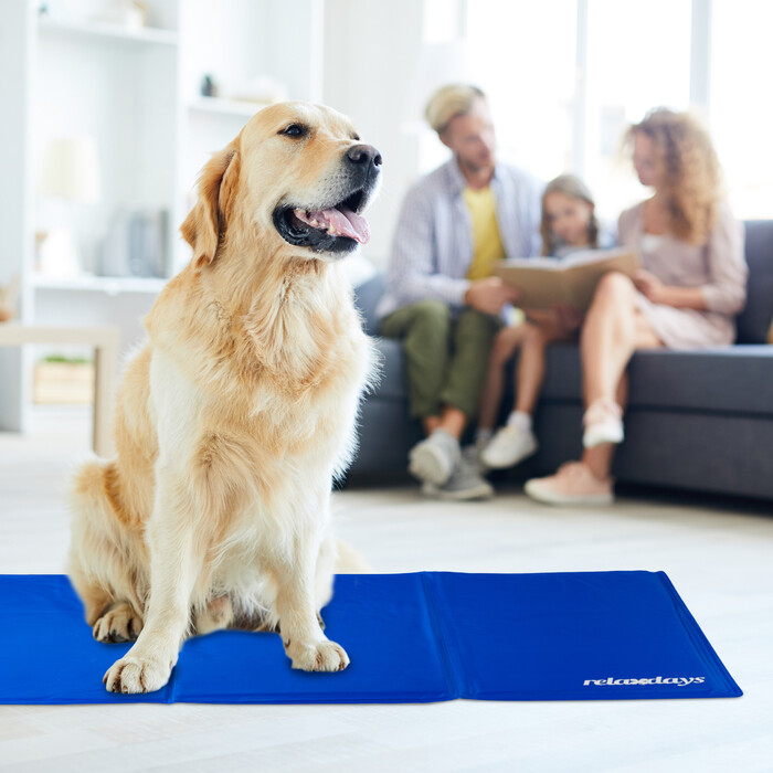 Relaxdays Kühlmatte Hund blau