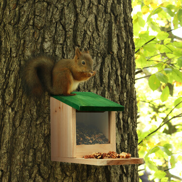 Relaxdays Eichhörnchen Futterhaus aus Holz