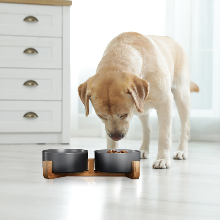 Relaxdays Hunde Napfbar Keramik mit Bambusgestell