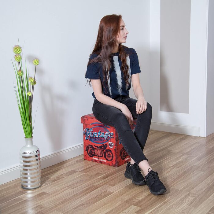 Relaxdays Faltbarer Sitzhocker 38 cm, stabiler Sitzwürfel mit Motiv, Kunstleder, Stauraum, Deckel