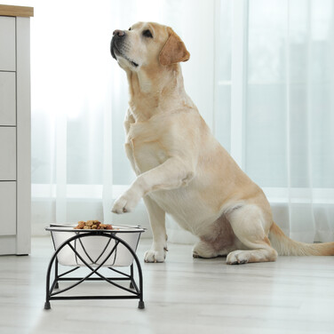 Relaxdays Futterstation für Hunde