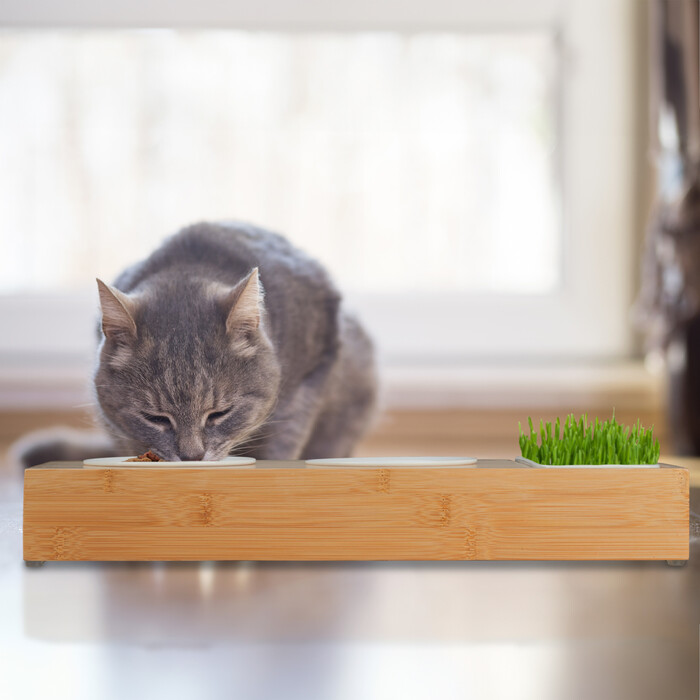 Relaxdays Katzen Futterstation & Katzengras Schale