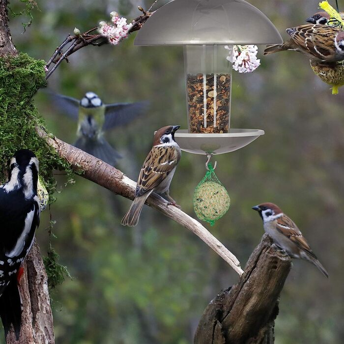 Relaxdays Vogelfutterspender, Futterhäuschen für Vögel, Aufhängen o. Stecken, Garten & Balkon, mit Stab H: 172cm, silber