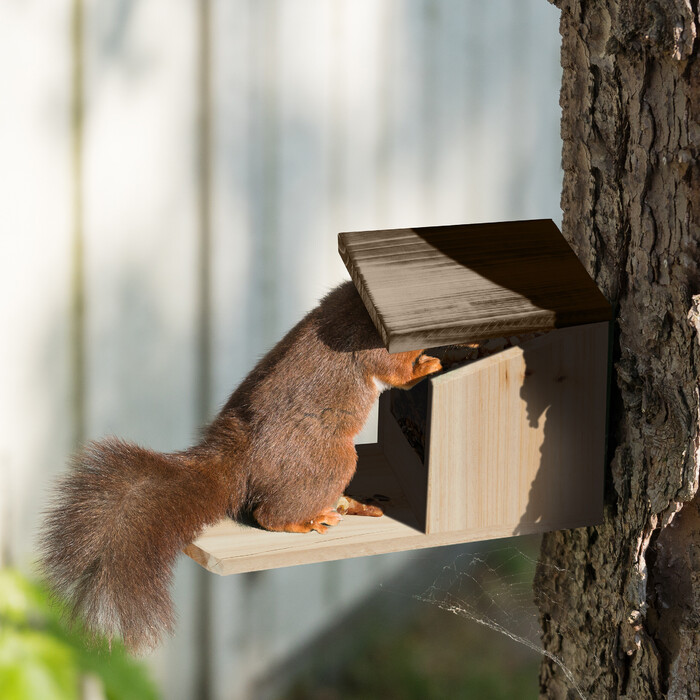 Relaxdays Eichhörnchen Futterhaus aus Holz
