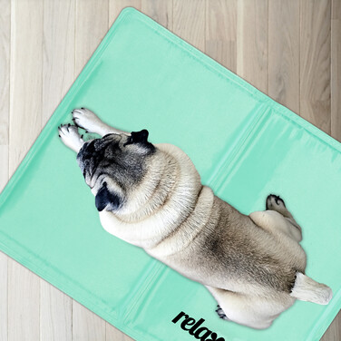 Relaxdays Türkise Kühlmatte für Hunde
