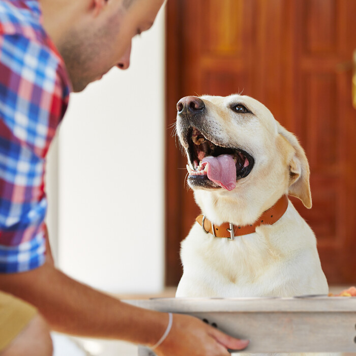 Relaxdays Futterstation für Hunde