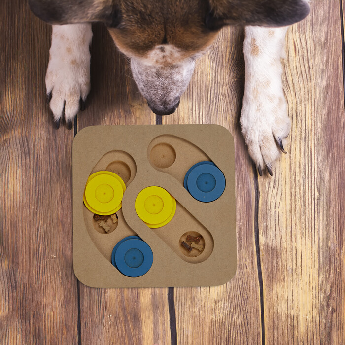 Relaxdays Intelligenzspielzeug für Hunde