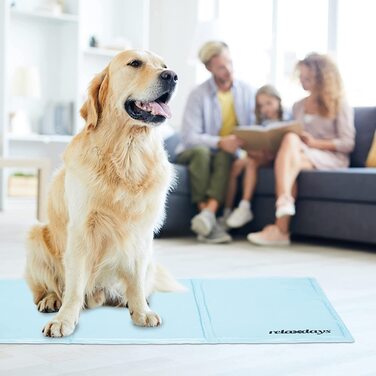 Relaxdays Kühlmatte Hund, 60 x 100 cm, selbstkühlende Hundematte, Gel, abwischbar, Kühlunterlage für Haustiere, hellblau
