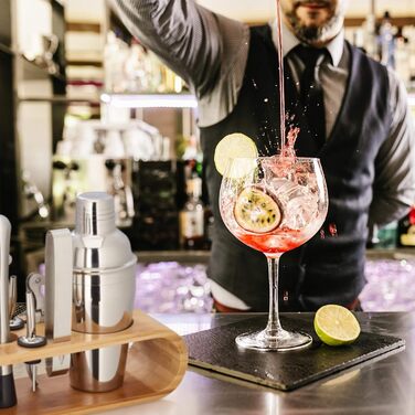 Relaxdays 9-tlg. Cocktail Set, Profi Barkeeper Set mit Ständer, Shaker, Barmaß, Ausgießer, Eiszange