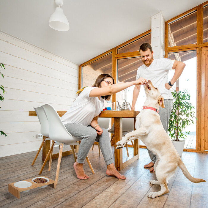 Relaxdays Futterstation für Hunde