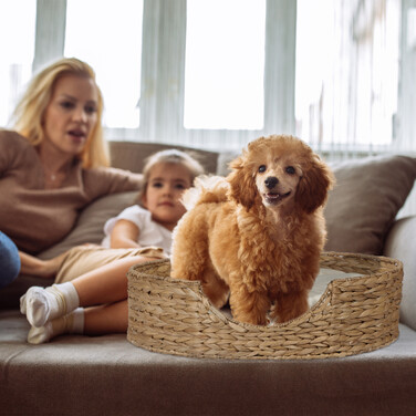 Relaxdays Tierbett für Hunde und Katzen